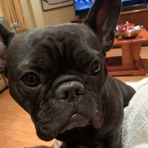 Meet your Posher, Maria